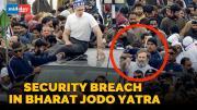 Security Breach In Bharat Jodo Yatra In Jammu And Kashmir, Rahul Gandhi Cancelled His Walk